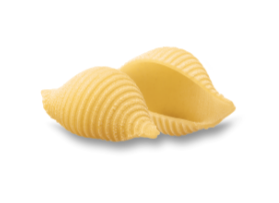 Conchiglie Rigate (500 g x 24) – n° 50