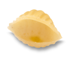 Conchigliette Rigate (500g x 24) – n° 51