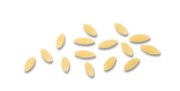 Riso (500 g x 24) – n° 74