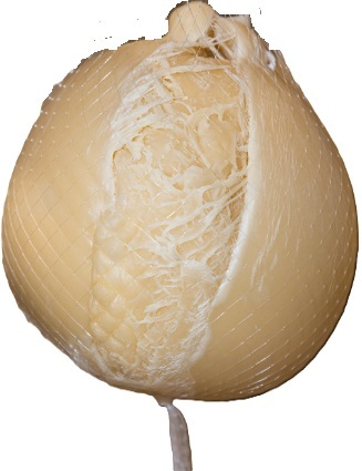 Caciocavallo Semi Affiné